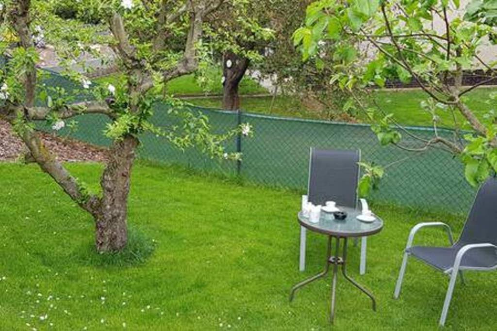Suite With Back Garden Karlovy Vary Kültér fotó